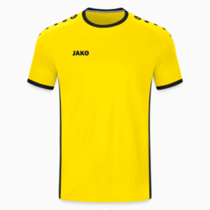 Maillot Primera JAKO